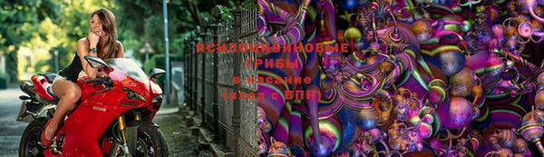 амф Алексин