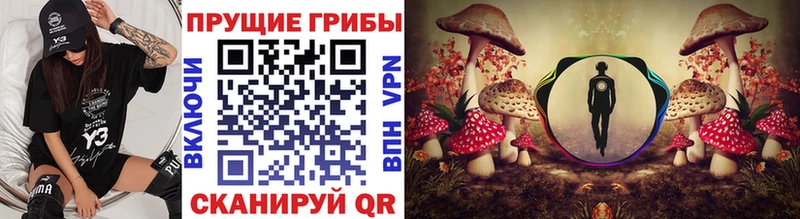 Псилоцибиновые грибы прущие грибы  Арсеньев 