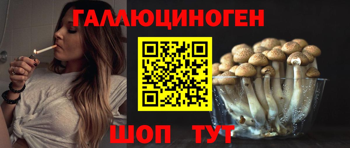 Арсеньев  Псилоцибиновые грибы прущие грибы  Вход с VPN 